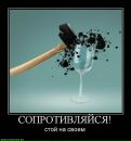 Николай Семчук фотография #50 (источник - https://vk.com/id17316509)
