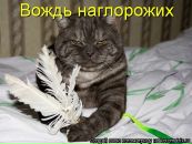 Ольга Селиванова фотография #27 (источник - https://vk.com/id878078)