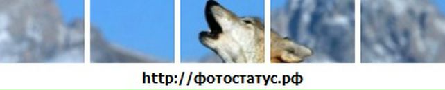 Ігорчик Баландін фотография #3 (источник - https://vk.com/id16874049)