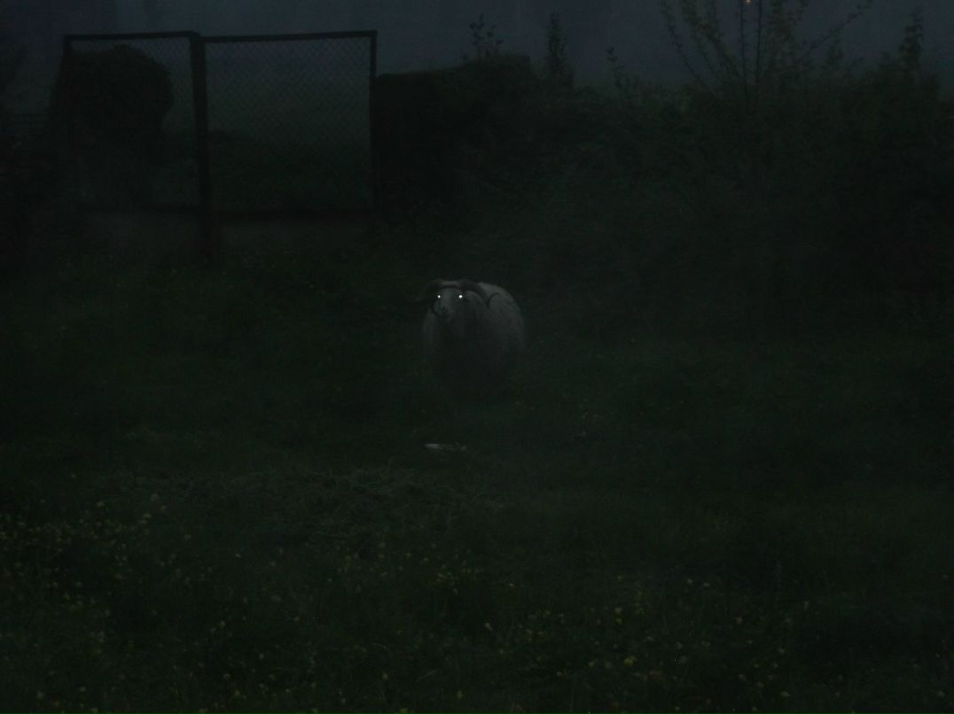 Сергей Байдаков фотография #38