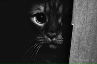 Фотография Чернышевой Марии