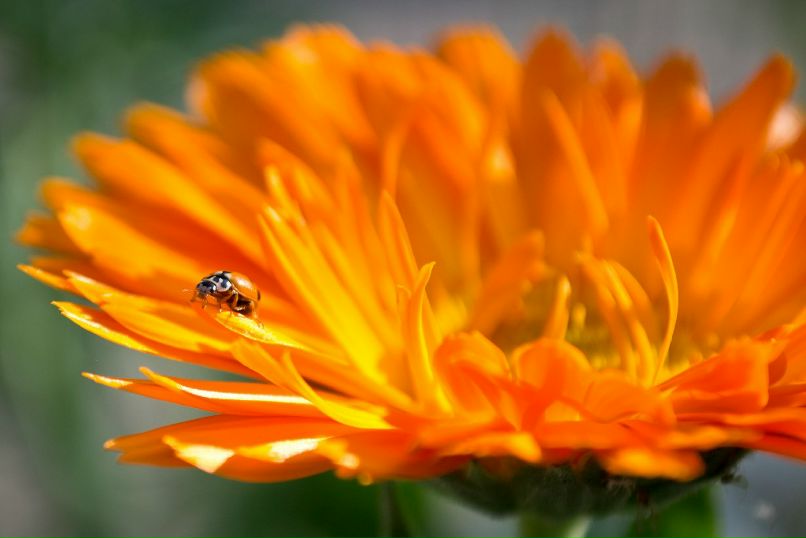 Антон Девяткин фотография #43