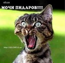 Славік Замашнюк фотография #36 (источник - https://vk.com/id146908693)