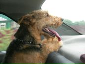 Фотография Курилович Татьяны