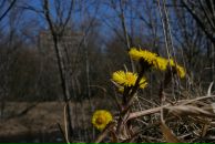 Фотография Сухолейстер Анастасии