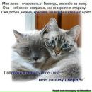 Фотография Елисеевой Ольги