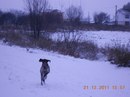 Ігор Білик фотография #16 (источник - https://vk.com/id72722398)