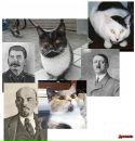 Міша Вишкварка фотография #18 (источник - https://vk.com/id72684444)