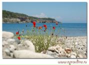 Анюта Кириченко фотография #4 (источник - https://vk.com/id288757)