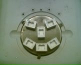 Фотография Вишнякова Максима