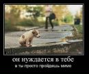 Діма Мотлюк фотография #10 (источник - https://vk.com/id92601340)