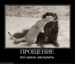 Міша Кальніцький фотография #35 (источник - https://vk.com/id5962739)