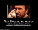 Чак Норіс фотография #4 (источник - https://vk.com/id167273739)