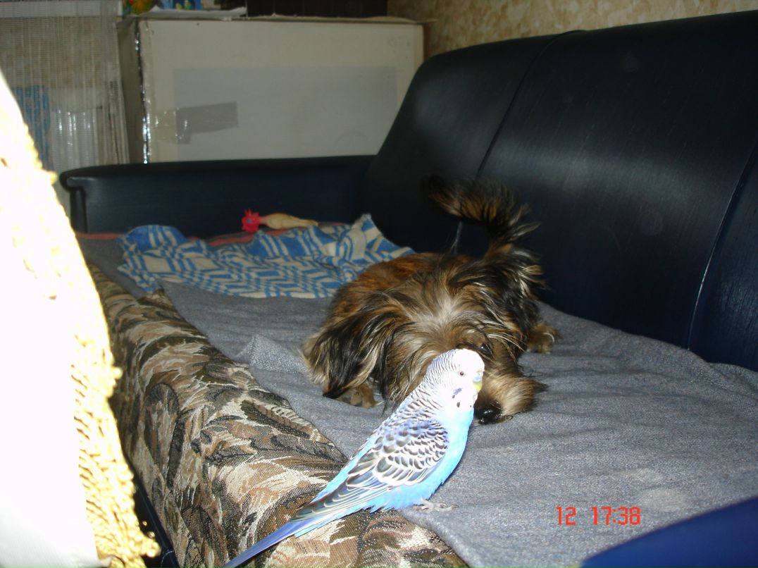 Иван Андреев фотография #31