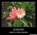 Інна Шевчук фотография #28 (источник - https://vk.com/id92127200)