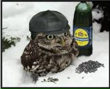 Фотография Филимонова Евгения