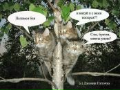 Фотография Люберецкого Жеки