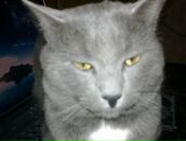 Иван Иванов фотография #1