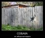  фотография #48