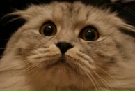 Фотография Ступиной Алёны