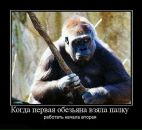 Sfueps Eq[ik фотография #3 (источник - https://vk.com/id93027198)