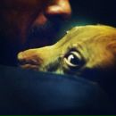 Фотография Панфилова Дмитрия