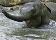 Фотография Комлевой Надежды