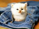 Ксюня ♥ фотография #11 (источник - https://vk.com/id154104825)