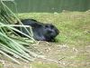  фотография #43