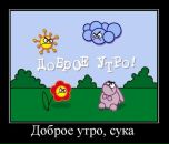 Фотография Гаврилова Романа