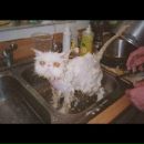 Фотография Suslova Maria