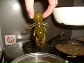 Леонид Торопов фотография #39 (источник - https://vk.com/id163850)