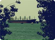 Дмитрий Додон фотография #24 (источник - https://vk.com/id1244633)