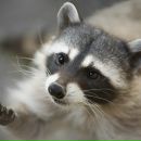 Иван Маркин фотография #18 (источник - https://vk.com/id4067708)