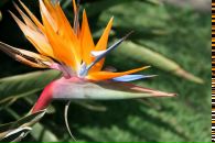 Ольга Бойцова фотография #3 (источник - https://vk.com/id300416)