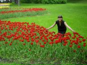 Фотография Фальтенберг Ольги