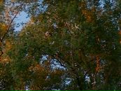 Ольга Бісовська фотография #3 (источник - https://vk.com/id36576129)