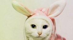 Фотография Корниенко Ольги