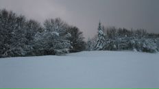 Андрій Зубрицький фотография #25 (источник - https://vk.com/id66248463)