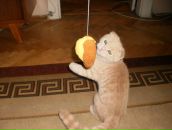 Надія Стельмах фотография #4 (источник - https://vk.com/id43929496)