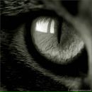 Фотография Мазура Алексея