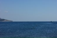 Дмитрий Ященко фотография #26 (источник - https://vk.com/id1092500)