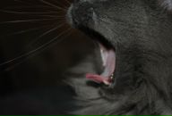 Фотография Дудко Анастасии