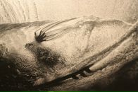 Фотография Юдиной Алины