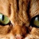 Настінька Каменскіх фотография #21 (источник - https://vk.com/id143328636)