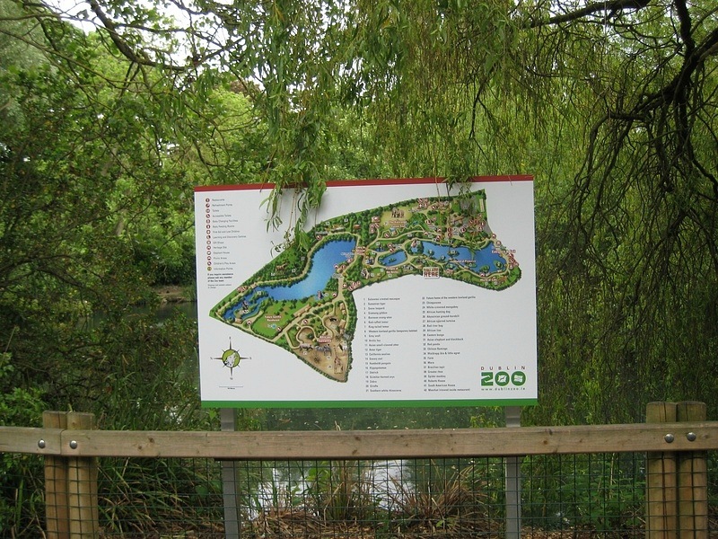 Дмитрий Рекун фотография #42