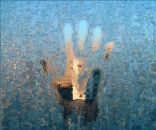 Фотография Завадовской Веры