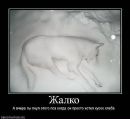 Вітя Салюк фотография #7 (источник - https://vk.com/id97726415)
