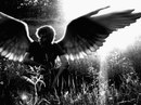 Сергій Новиков фотография #19 (источник - https://vk.com/id152752874)