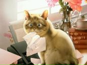 Фотография Кравец Кристины